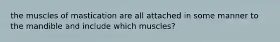 the muscles of mastication are all attached in some manner to the mandible and include which muscles?