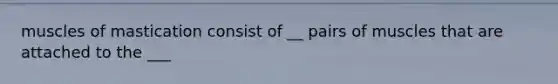 muscles of mastication consist of __ pairs of muscles that are attached to the ___