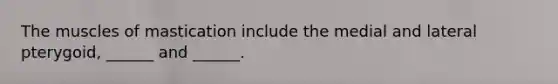 The muscles of mastication include the medial and lateral pterygoid, ______ and ______.