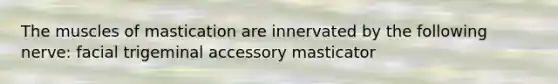 The muscles of mastication are innervated by the following nerve: facial trigeminal accessory masticator