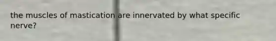 the muscles of mastication are innervated by what specific nerve?