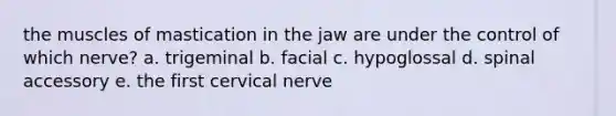 the muscles of mastication in the jaw are under the control of which nerve? a. trigeminal b. facial c. hypoglossal d. spinal accessory e. the first cervical nerve