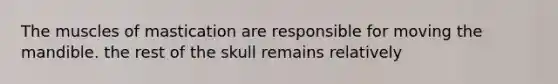 The muscles of mastication are responsible for moving the mandible. the rest of the skull remains relatively