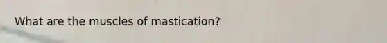 What are the muscles of mastication?