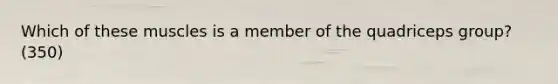 Which of these muscles is a member of the quadriceps group? (350)