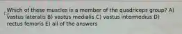 Which of these muscles is a member of the quadriceps group? A) vastus lateralis B) vastus medialis C) vastus intermedius D) rectus femoris E) all of the answers