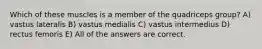 Which of these muscles is a member of the quadriceps group? A) vastus lateralis B) vastus medialis C) vastus intermedius D) rectus femoris E) All of the answers are correct.