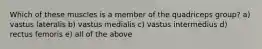 Which of these muscles is a member of the quadriceps group? a) vastus lateralis b) vastus medialis c) vastus intermedius d) rectus femoris e) all of the above