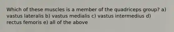 Which of these muscles is a member of the quadriceps group? a) vastus lateralis b) vastus medialis c) vastus intermedius d) rectus femoris e) all of the above