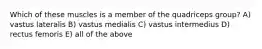 Which of these muscles is a member of the quadriceps group? A) vastus lateralis B) vastus medialis C) vastus intermedius D) rectus femoris E) all of the above