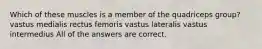 Which of these muscles is a member of the quadriceps group? vastus medialis rectus femoris vastus lateralis vastus intermedius All of the answers are correct.