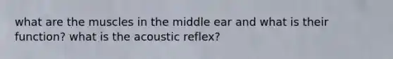 what are the muscles in the middle ear and what is their function? what is the acoustic reflex?