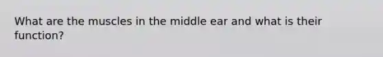 What are the muscles in the middle ear and what is their function?