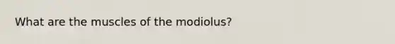 What are the muscles of the modiolus?