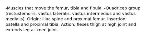 -Muscles that move the femur, tibia and fibula. -Quadricep group (rectusfemoris, vastus lateralis, vastus intermedius and vastus medialis). Origin: iliac spine and proximal femur. Insertion: patella and proximal tibia. Action: flexes thigh at high joint and extends leg at knee joint.