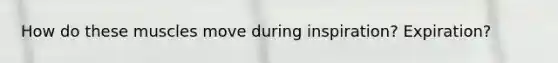 How do these muscles move during inspiration? Expiration?
