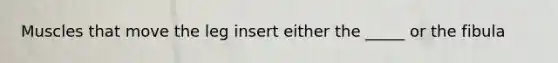 Muscles that move the leg insert either the _____ or the fibula