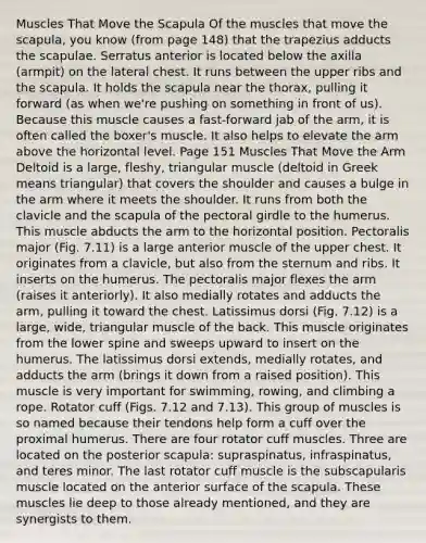 Muscles That Move the Scapula Of the muscles that move the scapula, you know (from page 148) that the trapezius adducts the scapulae. Serratus anterior is located below the axilla (armpit) on the lateral chest. It runs between the upper ribs and the scapula. It holds the scapula near the thorax, pulling it forward (as when we're pushing on something in front of us). Because this muscle causes a fast-forward jab of the arm, it is often called the boxer's muscle. It also helps to elevate the arm above the horizontal level. Page 151 Muscles That Move the Arm Deltoid is a large, fleshy, triangular muscle (deltoid in Greek means triangular) that covers the shoulder and causes a bulge in the arm where it meets the shoulder. It runs from both the clavicle and the scapula of the pectoral girdle to the humerus. This muscle abducts the arm to the horizontal position. Pectoralis major (Fig. 7.11) is a large anterior muscle of the upper chest. It originates from a clavicle, but also from the sternum and ribs. It inserts on the humerus. The pectoralis major flexes the arm (raises it anteriorly). It also medially rotates and adducts the arm, pulling it toward the chest. Latissimus dorsi (Fig. 7.12) is a large, wide, triangular muscle of the back. This muscle originates from the lower spine and sweeps upward to insert on the humerus. The latissimus dorsi extends, medially rotates, and adducts the arm (brings it down from a raised position). This muscle is very important for swimming, rowing, and climbing a rope. Rotator cuff (Figs. 7.12 and 7.13). This group of muscles is so named because their tendons help form a cuff over the proximal humerus. There are four rotator cuff muscles. Three are located on the posterior scapula: supraspinatus, infraspinatus, and teres minor. The last rotator cuff muscle is the subscapularis muscle located on the anterior surface of the scapula. These muscles lie deep to those already mentioned, and they are synergists to them.