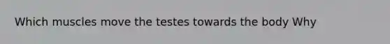 Which muscles move the testes towards the body Why