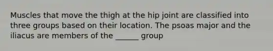 Muscles that move the thigh at the hip joint are classified into three groups based on their location. The psoas major and the iliacus are members of the ______ group