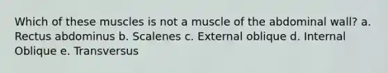 Which of these muscles is not a muscle of the abdominal wall? a. Rectus abdominus b. Scalenes c. External oblique d. Internal Oblique e. Transversus