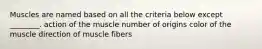 Muscles are named based on all the criteria below except ________. action of the muscle number of origins color of the muscle direction of muscle fibers