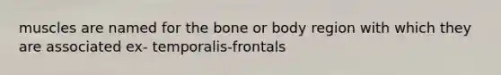 muscles are named for the bone or body region with which they are associated ex- temporalis-frontals