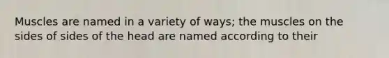 Muscles are named in a variety of ways; the muscles on the sides of sides of the head are named according to their