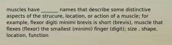 muscles have _______ names that describe some distinctive aspects of the strucure, location, or action of a muscle; for example, flexor digiti minimi brevis is short (brevis), muscle that flexes (flexor) the smallest (minimi) finger (digit); size , shape, location, function