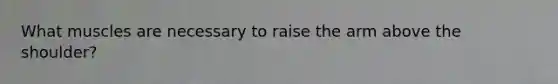 What muscles are necessary to raise the arm above the shoulder?