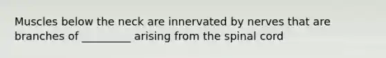 Muscles below the neck are innervated by nerves that are branches of _________ arising from the spinal cord