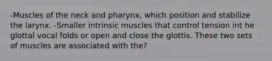 -Muscles of the neck and pharynx, which position and stabilize the larynx. -Smaller intrinsic muscles that control tension int he glottal vocal folds or open and close the glottis. These two sets of muscles are associated with the?