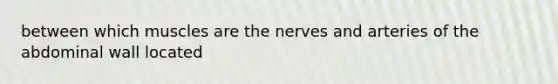 between which muscles are the nerves and arteries of the abdominal wall located