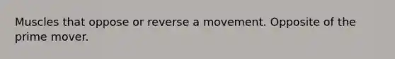 Muscles that oppose or reverse a movement. Opposite of the prime mover.