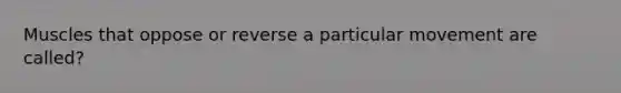 Muscles that oppose or reverse a particular movement are called?