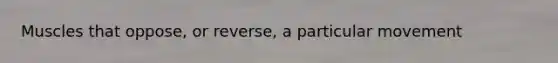 Muscles that oppose, or reverse, a particular movement