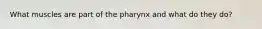 What muscles are part of the pharynx and what do they do?