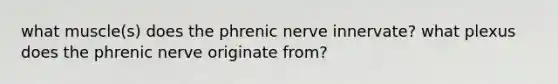 what muscle(s) does the phrenic nerve innervate? what plexus does the phrenic nerve originate from?