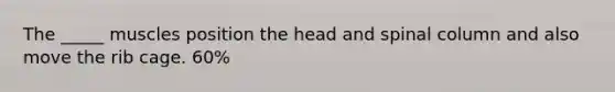 The _____ muscles position the head and spinal column and also move the rib cage. 60%