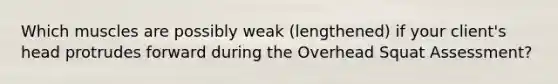 Which muscles are possibly weak (lengthened) if your client's head protrudes forward during the Overhead Squat Assessment?