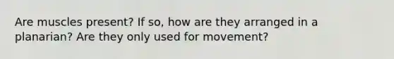 Are muscles present? If so, how are they arranged in a planarian? Are they only used for movement?