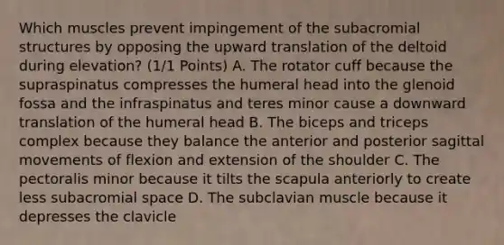 Which muscles prevent impingement of the subacromial structures by opposing the upward translation of the deltoid during elevation? (1/1 Points) A. The rotator cuff because the supraspinatus compresses the humeral head into the glenoid fossa and the infraspinatus and teres minor cause a downward translation of the humeral head B. The biceps and triceps complex because they balance the anterior and posterior sagittal movements of flexion and extension of the shoulder C. The pectoralis minor because it tilts the scapula anteriorly to create less subacromial space D. The subclavian muscle because it depresses the clavicle