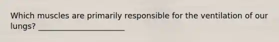 Which muscles are primarily responsible for the ventilation of our lungs? ______________________