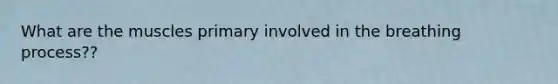 What are the muscles primary involved in the breathing process??