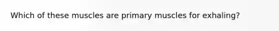 Which of these muscles are primary muscles for exhaling?
