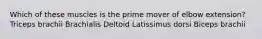 Which of these muscles is the prime mover of elbow extension? Triceps brachii Brachialis Deltoid Latissimus dorsi Biceps brachii