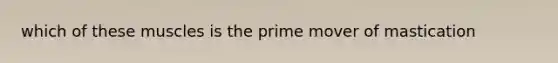 which of these muscles is the prime mover of mastication