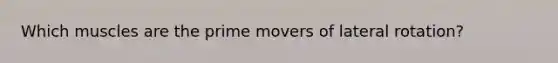 Which muscles are the prime movers of lateral rotation?