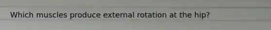 Which muscles produce external rotation at the hip?