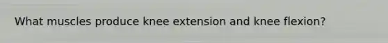 What muscles produce knee extension and knee flexion?